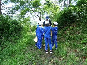 Ssdscf7413 Ssdscf7413