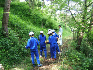 Ssdscf7417 Ssdscf7417