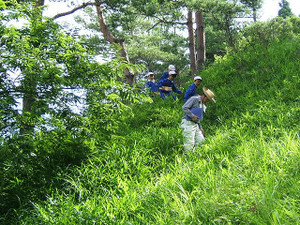 Ssdscf7425 Ssdscf7425