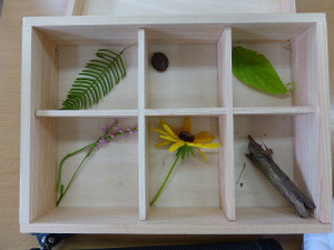 Ssp1010755 Ssp1010755