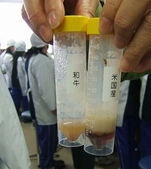 Dscf9138_2 Dscf9138_2