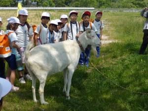 P1070923_2 P1070923_2