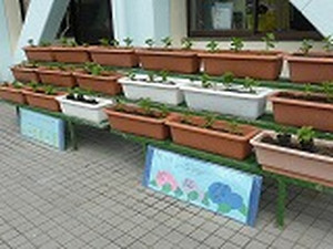 P1080337_2 P1080337_2