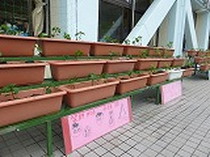 P1080338_2 P1080338_2